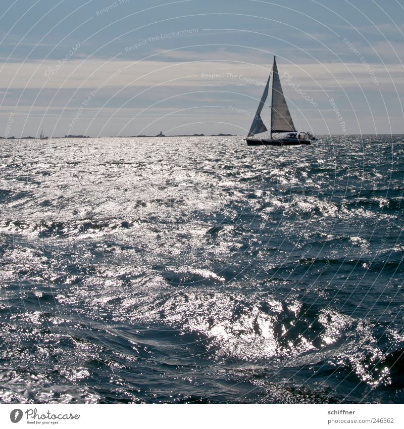 Fluttering jib Waves Ocean Freedom Sailing Dinghy Atlantic Ocean Coast Back-light Lighthouse Beautiful weather Water Sea water Sailboat Exterior shot Reflection