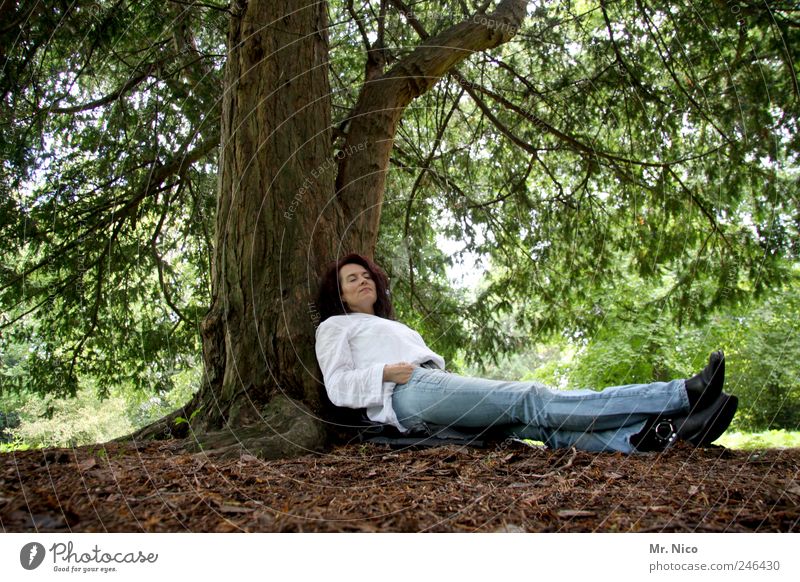 pause Woman Adults Legs Environment Nature Earth Plant Tree Park Forest Shirt Jeans Boots Long-haired Relaxation To enjoy Lie Dream Protection