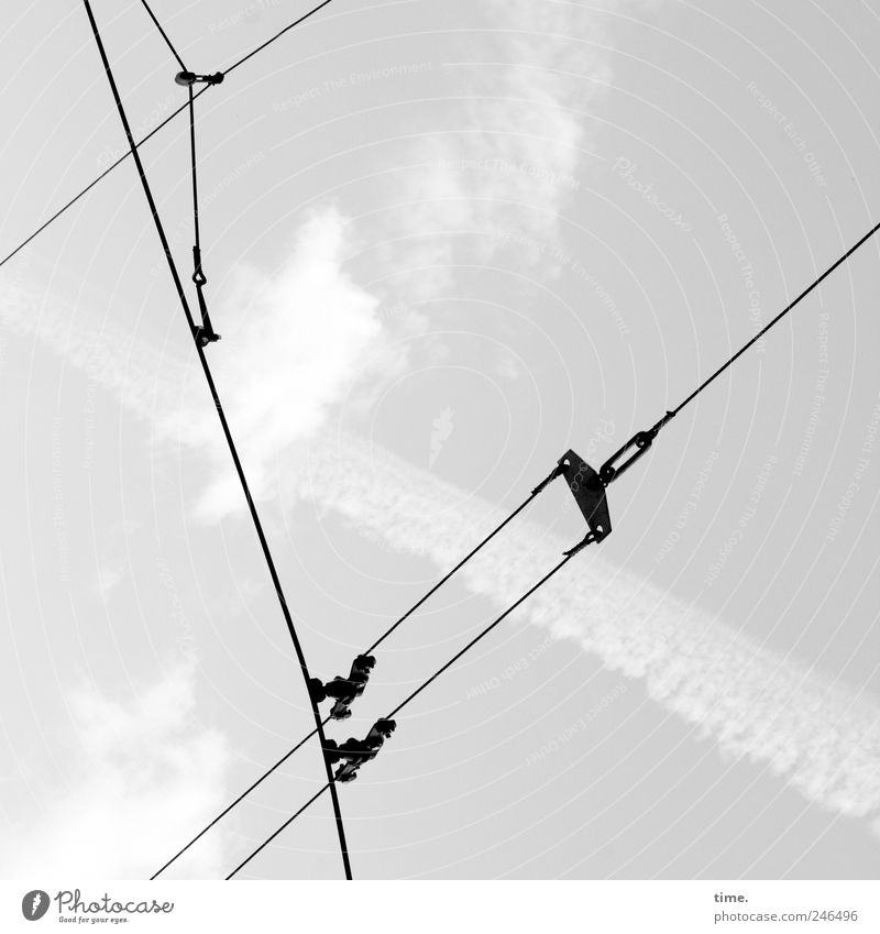 city synapses Diagonal Overhead line Cable Steel cable Wire Wire cable Clouds Illustration Crucifix Line Vapor trail Electricity Tension Worm's-eye view