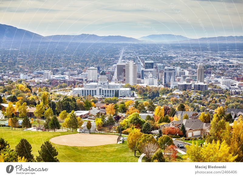 Aerial view of the Salt Lake City downtown in autumn. Vacation & Travel Sightseeing House (Residential Structure) Landscape Autumn Park Town Downtown Skyline