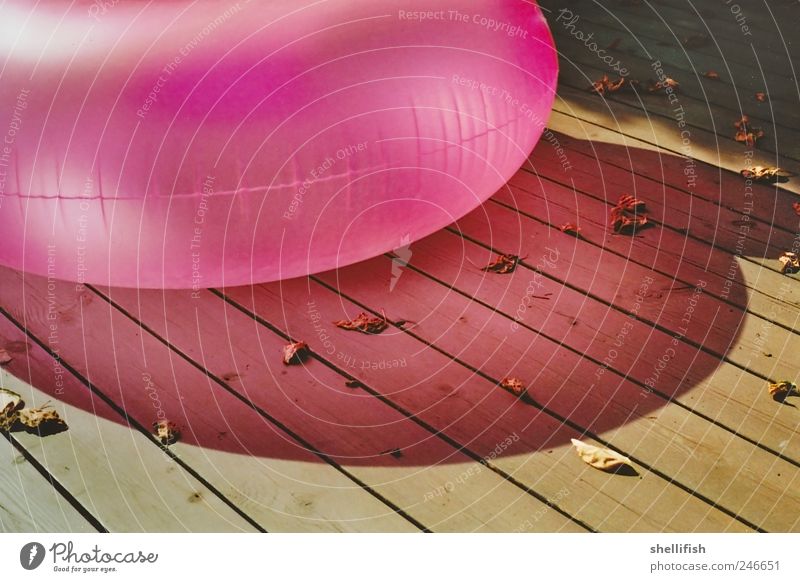 Pink Luftwurst Balloon Wood Esthetic Idyll Calm Swimming & Bathing Footbridge Inflatable Air Wooden board Leaf Summer Relaxation caustics Shadow play