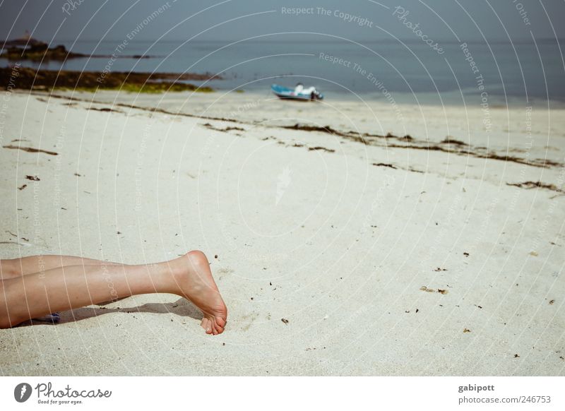 Before sunburn Beautiful Vacation & Travel Tourism Summer Summer vacation Sunbathing Beach Ocean Island Legs Feet Nature Sand Bay Lie Joie de vivre (Vitality)