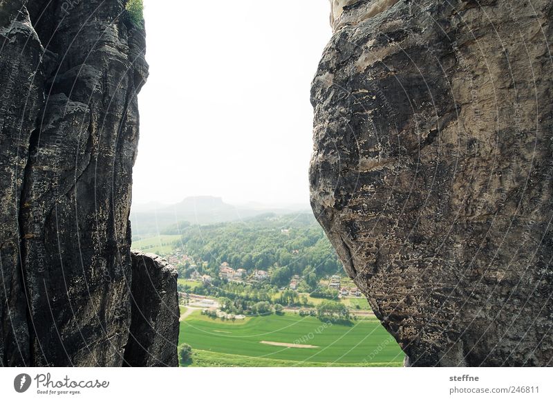 Between a rock and a hard place Environment Landscape Cloudless sky Beautiful weather Forest Rock Mountain Elbsandstone mountains Elbsandstein region Firm Hard