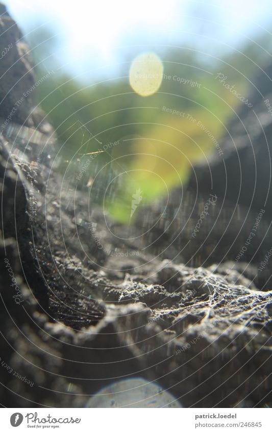 Caught up Nature Elements Rock Mountain Spider Threat Sharp-edged Creepy Wild Spider's web Cervice Point of light Blur Fear Hope Climbing Cave Colour photo
