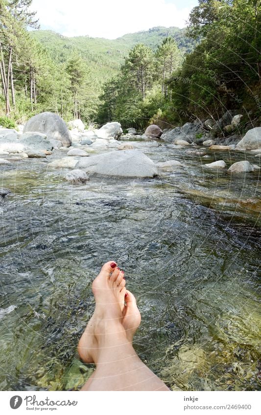 down the river Vacation & Travel Trip Summer Mountain Feet Women`s feet 1 Human being Nature Landscape Water Beautiful weather River bank Mountain stream