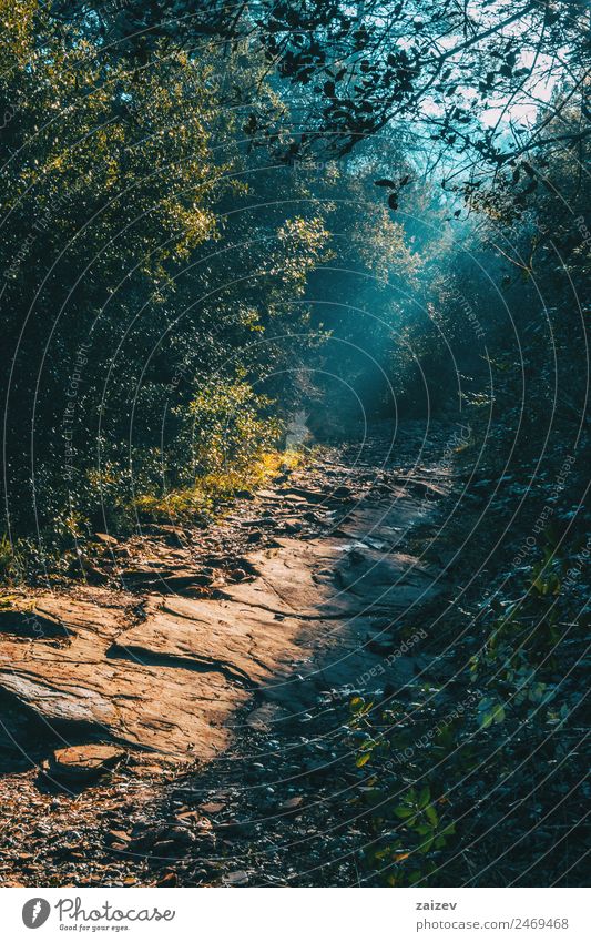 Landscape with a path in the mountain lit by a ray of sunLandscape with a path in the mountain lit by a ray of sun Design Beautiful Vacation & Travel Trip