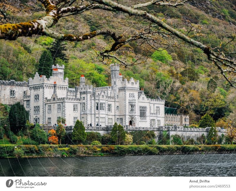 Ireland - Kylemore Abbey Vacation & Travel Tourism Trip Sightseeing Summer Summer vacation Landscape Beautiful weather Tree Mountain Pond Lake Connemara Palace