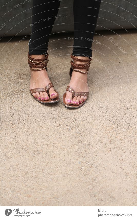 on firm ground... Lifestyle Style already Pedicure Vacation & Travel Tourism Event Young woman Youth (Young adults) feet 1 Human being Earth Warmth Flip-flops