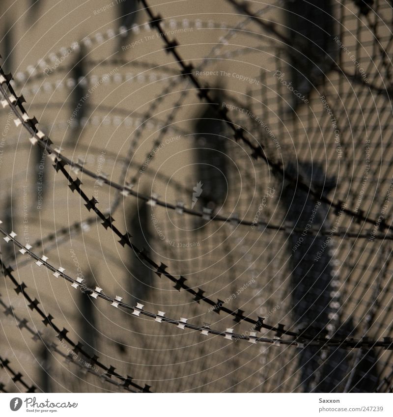 barbed wire Penitentiary Wall (barrier) Wall (building) Fence Grating Monument Metal Line Dark Gloomy Hope Pain Guilty Fear Distress Embitterment Revenge Force