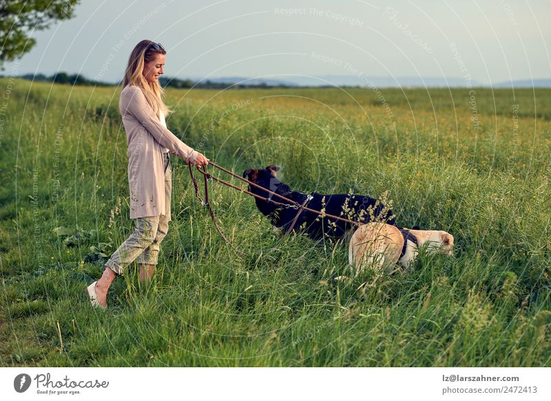 Blond woman walking her dogs at sunset Lifestyle Beautiful Summer Woman Adults Friendship 45 - 60 years Nature Landscape Animal Warmth Grass Blonde Pet Dog Cute
