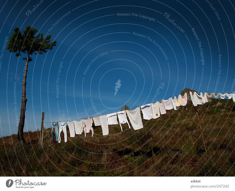 clothing Clothing Dry extending clothes in the sun Mountain Tree pine tree Bushes White Blue Sky Summer Heat Village old habit Work and employment Home Tank