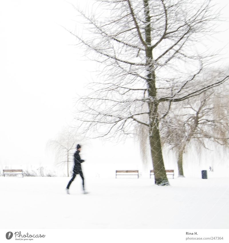 Once around the Alster [ Joggers in the snow ] Lifestyle Jogging Human being 1 Landscape Bad weather Snow Tree Park Cap Walking Bright Cold White Disciplined