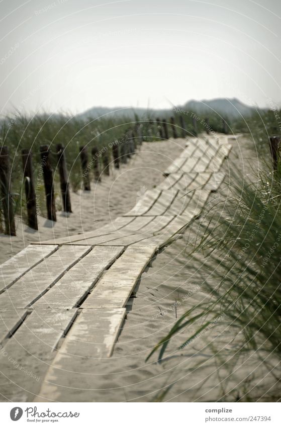 footbridge Well-being Relaxation Vacation & Travel Tourism Summer Summer vacation Beach Ocean Nature Sand Beautiful weather Meadow Coast North Sea Horizon Idyll