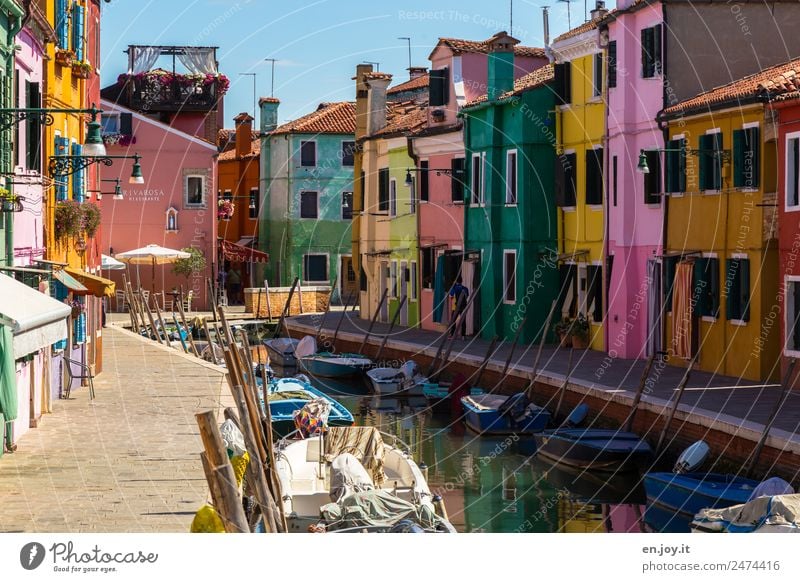 sunny side Vacation & Travel Tourism Trip Sightseeing City trip Summer vacation Burano Venice Italy Europe Village Fishing village Port City Old town Deserted