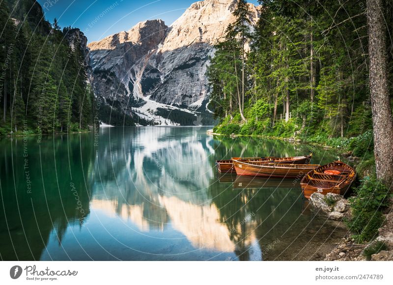 Dreamlike Leisure and hobbies Vacation & Travel Tourism Trip Adventure Summer Summer vacation Mountain Nature Landscape Forest Alps Dolomites Peak Lakeside