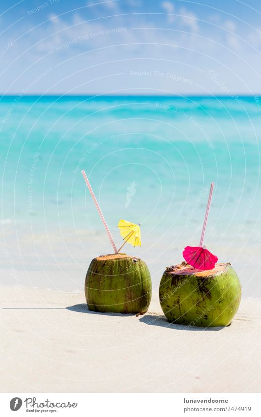 Coconut drinks on a Caribbean beach Fruit Beverage Alcoholic drinks Vacation & Travel Summer Beach Ocean Nature Landscape Sky Coast Fresh Blue Green Turquoise