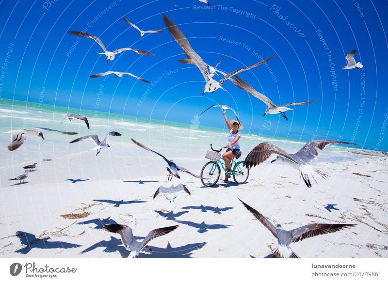 Woman riding a bike on the beach surrounded by seagulls Lifestyle Exotic Joy Leisure and hobbies Sports Cycling Adults 1 Human being 13 - 18 years