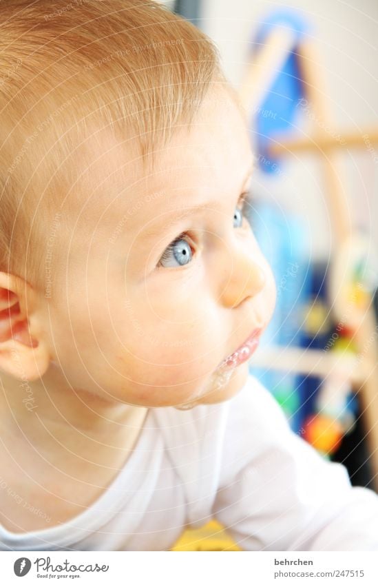 blue eyes Baby Boy (child) Head Hair and hairstyles Face Eyes Ear Nose Mouth Lips 0 - 12 months Protection Safety (feeling of) Curiosity Interest Slaver Looking