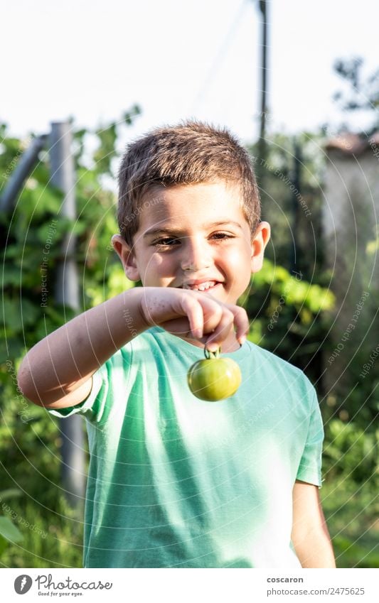 Little Girl Munching On A Carrot Stick Holding Bowl Of Vegetables Stock  Photo, Picture and Royalty Free Image. Image 11411207.