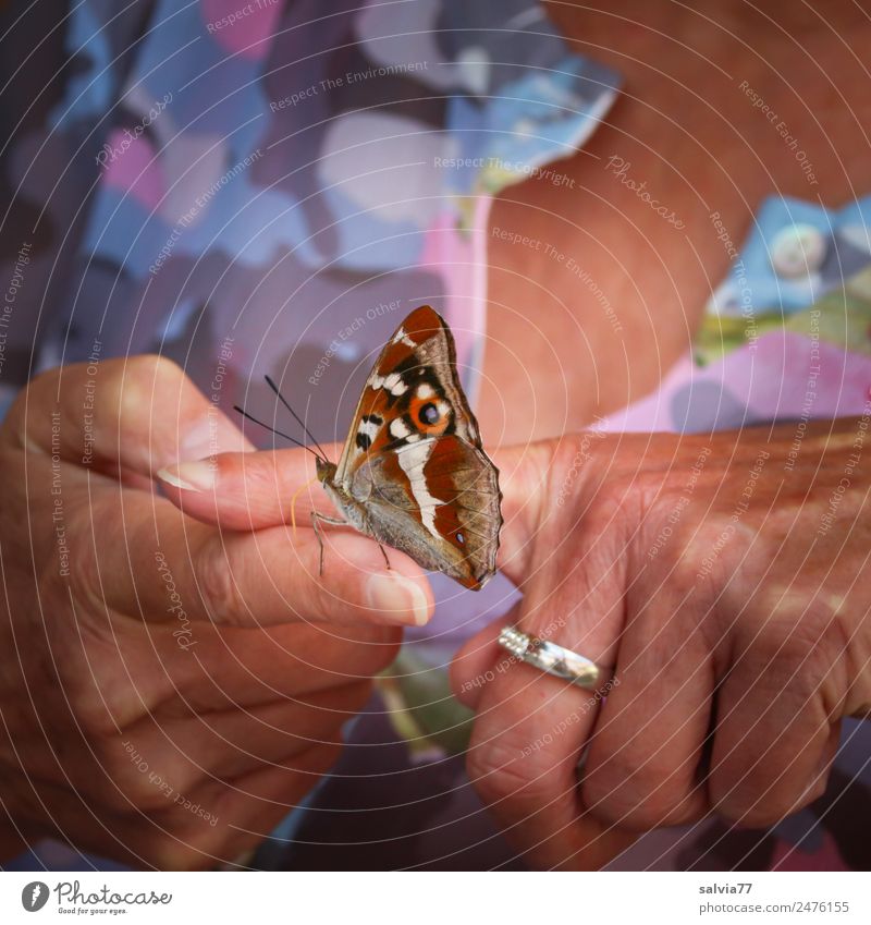 delicious finger Skin Hand Fingers 1 Human being Summer Animal Butterfly To enjoy Love Trust Safety (feeling of) Sympathy Love of animals Be confident Ring Suck