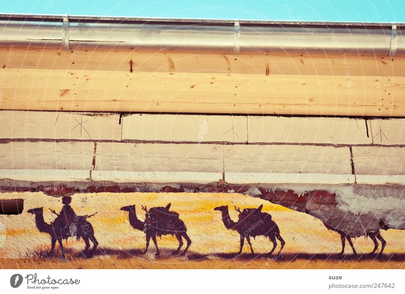 Dakar 2011 Style Design Hiking House (Residential Structure) Sky Building Wall (barrier) Wall (building) Facade Eaves Animal Herd Graffiti Stripe Old Dirty