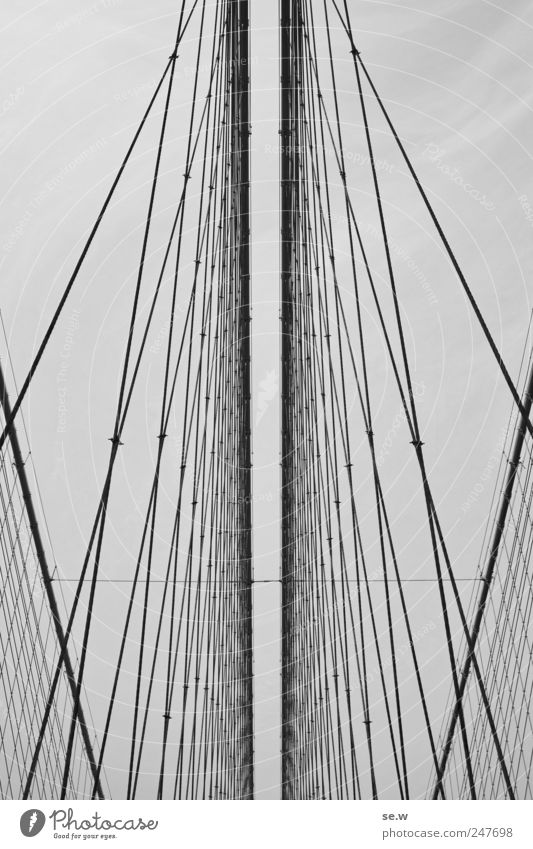 escape Deserted Bridge Rope Checkmark Net Brooklyn Bridge Metal Line Catch Vacation & Travel Esthetic Gigantic Gray Tunnel vision Border Reticular Horizon