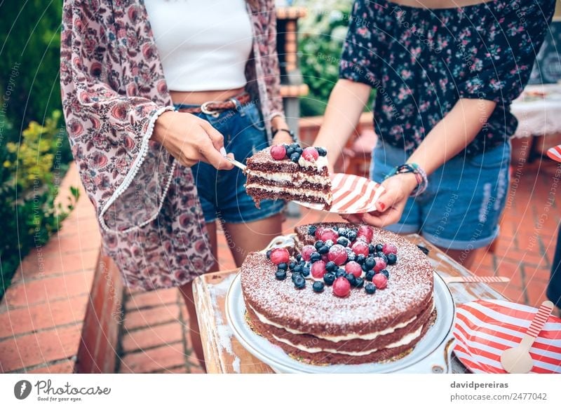 Woman serving chocolate cake in a summer party Dessert Plate Lifestyle Joy Happy Leisure and hobbies Summer Garden Feasts & Celebrations Adults Friendship Hand