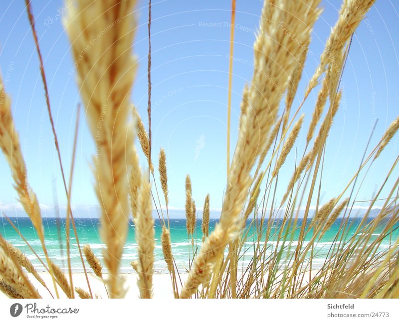 Playa de Valdoviño (España) Beach Galicia Spain Summer Hot Vacation & Travel Atlantic Ocean Verano Water Sand Wind Nature caliente Blue azul Sky cielo