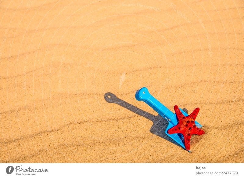 Shovel and starfish on the beach Joy Relaxation Vacation & Travel Summer Beach Child Sand Yellow Tourism Toys Blue Starfish Red recover Children's game Playing