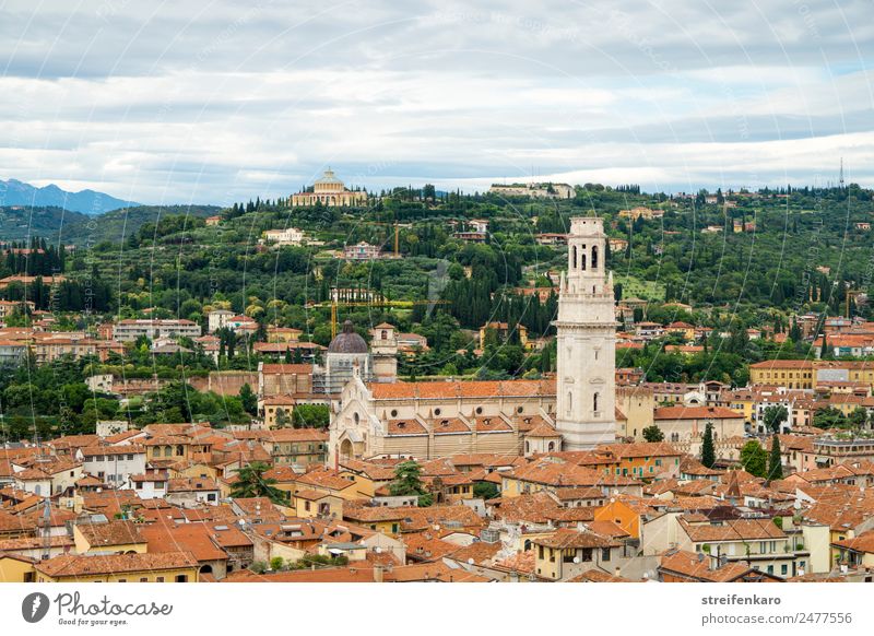 Way of life above the rooftops of Verona Vacation & Travel Tourism City trip Summer Forest Hill Alps Mountain Italy Europe Town Old town