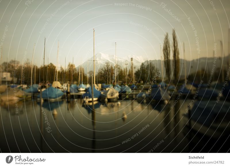 Marina 01 Thun Lake Jump Switzerland Watercraft Tree Light Mountain Alps Lake Thun Evening Wind Nature Sky Blue