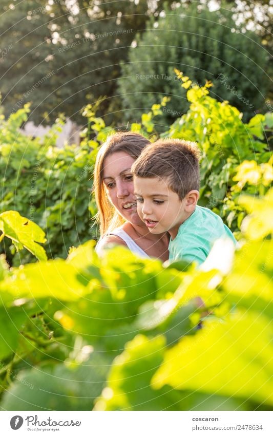 Beautiful mother spends time with her son in the field of grapes Lifestyle Joy Happy Vacation & Travel Summer Child Human being Toddler Boy (child) Woman Adults