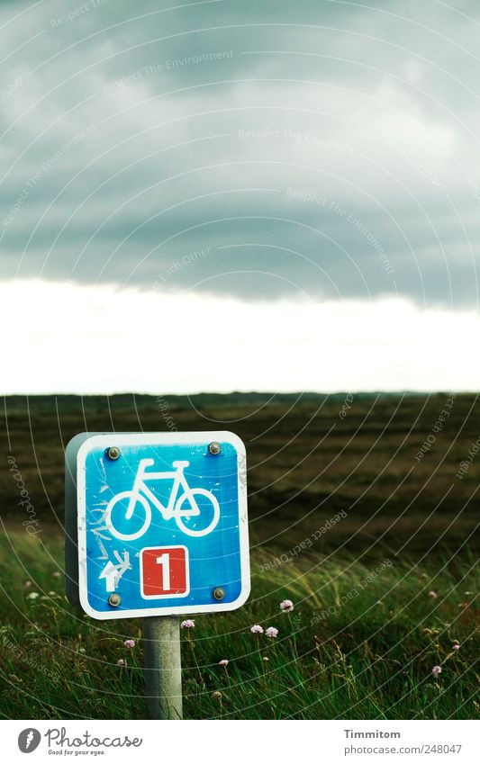 The daily task Leisure and hobbies Vacation & Travel Cycling tour Summer Nature Landscape Clouds Bad weather Grass North Sea Denmark Metal Sign Signage