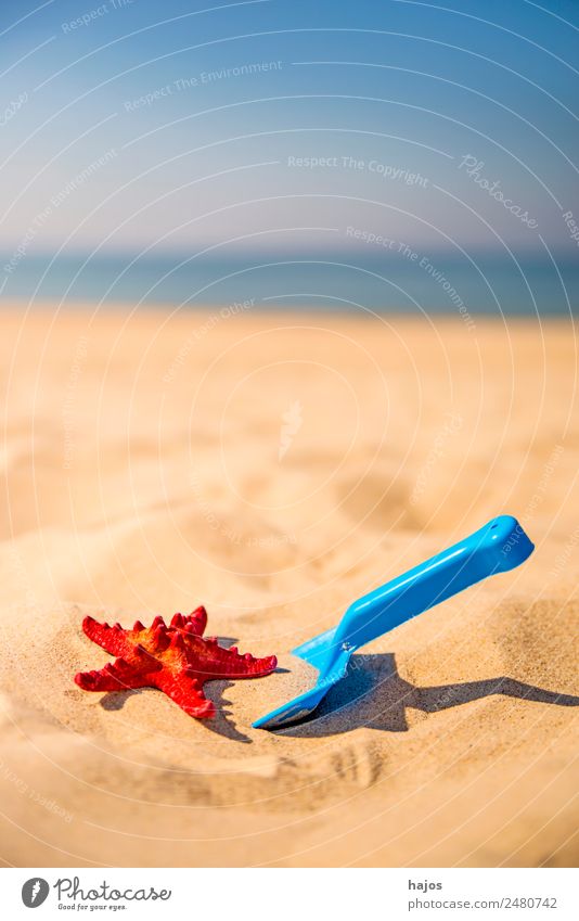 Shovel and starfish on the beach Joy Relaxation Vacation & Travel Summer Beach Child Sand Yellow Tourism Blue Starfish Red Ocean Sky Summer vacation
