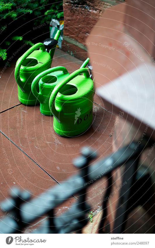 Dom Perignon Church Dome Wet Green Red Rain Bad weather Watering can Gießen Gardening Colour photo Shallow depth of field