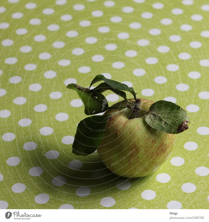 freshly harvested apple with leaves lies on a table with green tablecloth and white dots Food Fruit Apple Nutrition Organic produce Vegetarian diet Diet Leaf