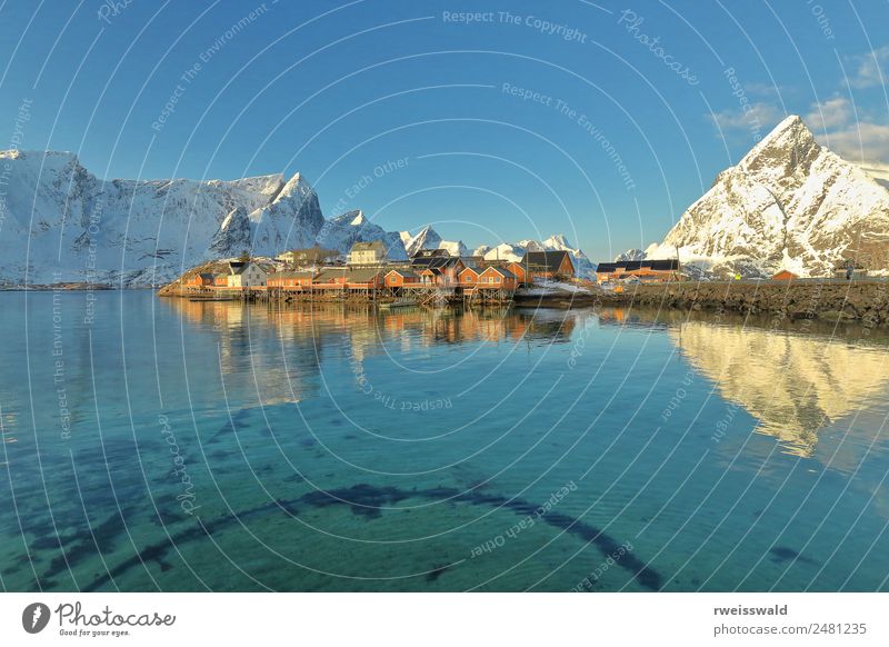 Sakrisoya rorbuer seen from Olenilsoy. Reine-Lofoten-Norway-0255 Fish Seafood Calm Leisure and hobbies Fishing (Angle) Vacation & Travel Tourism Adventure