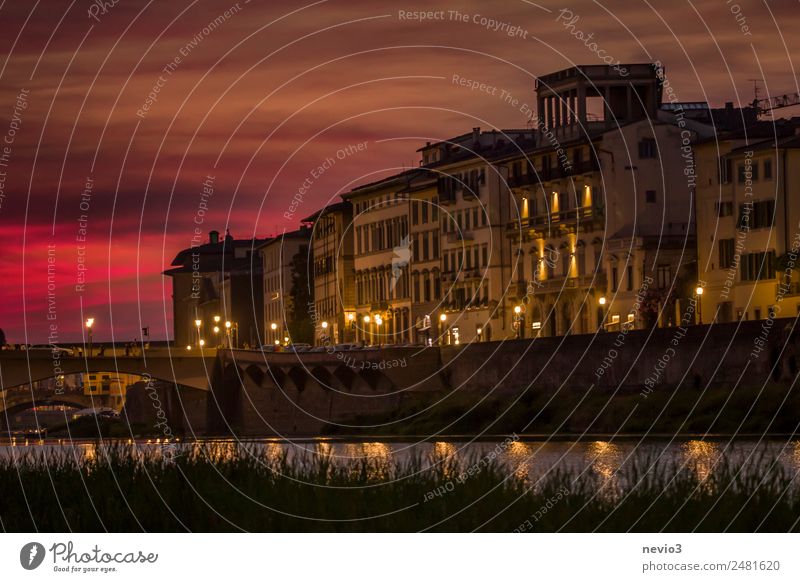 Promenade in Florence at night Culture Old town House (Residential Structure) Garden Orange Red Wanderlust Town Downtown City life Coast Housefront Log home