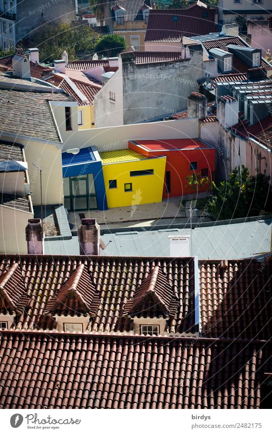 creative corner Lisbon House (Residential Structure) Dream house Architecture Apartment Building Wall (barrier) Wall (building) Roof Exceptional Fresh