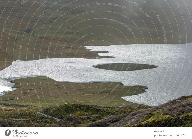 Small island in the middle of a lake Landscape Bad weather Grass Meadow Coast Bay Ocean Lake Green Lakeside Island Gloomy Badlands Loneliness Fallow land