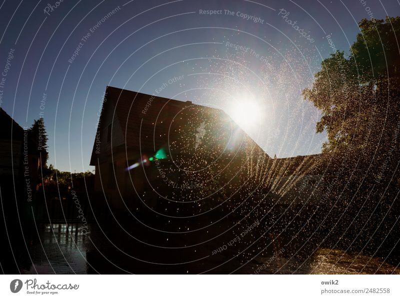 sprinkler system Water Drops of water Cloudless sky Sun Summer Beautiful weather Warmth Tree Village Skyline Populated House (Residential Structure)