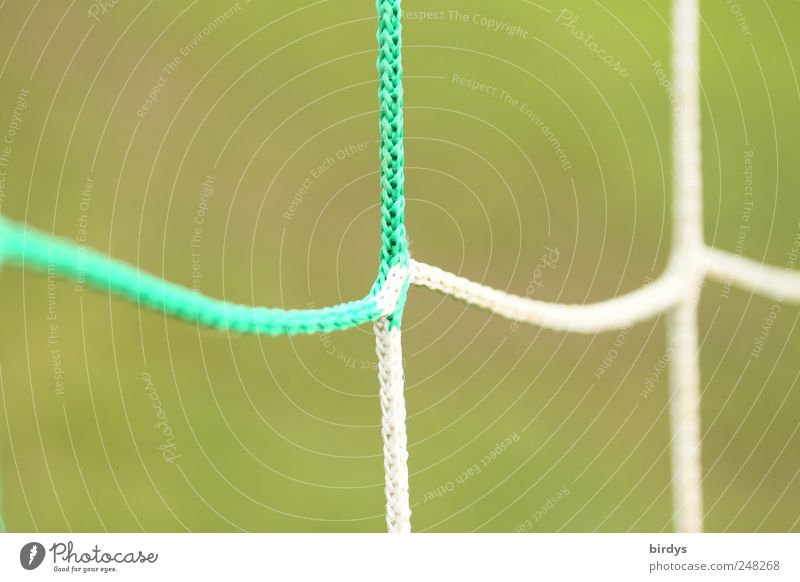 linkages Ball sports Sporting Complex Net Esthetic Green White Network Sports Symmetry Synthesis Soccer Goal Connectedness String spliced Line intertwined scam