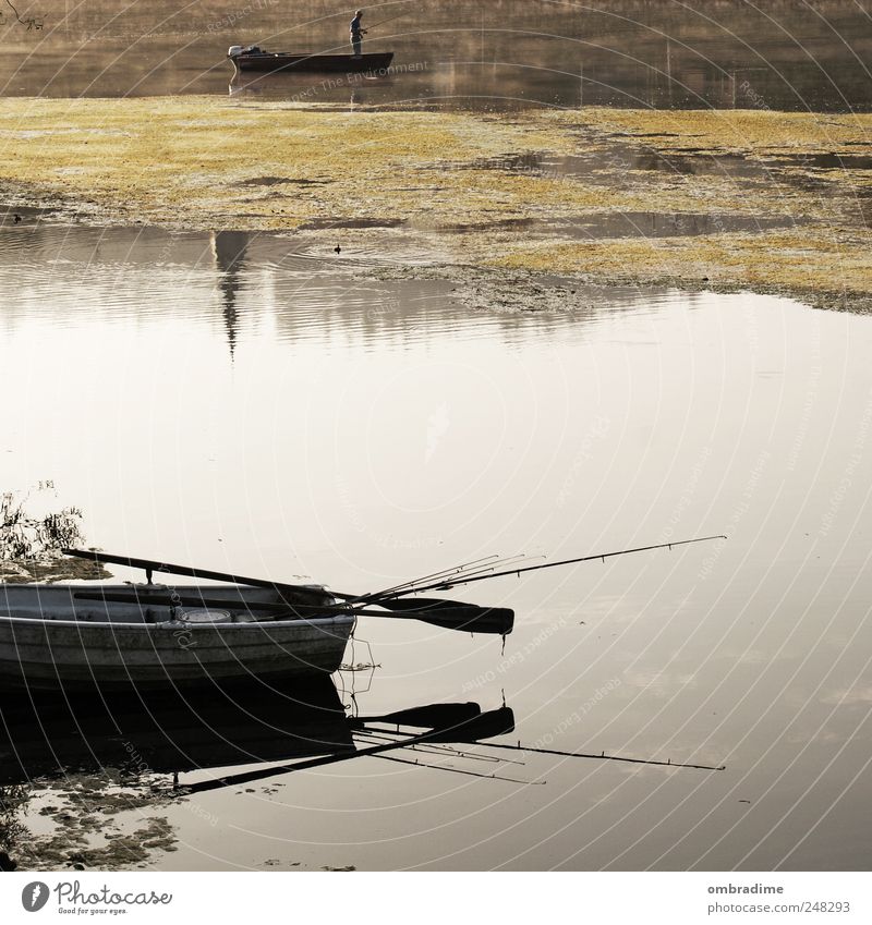 autumn days Environment Nature Landscape Water Sunlight Beautiful weather River Natural Moody Patient Calm Watercraft Fisherman Shroud of fog Fog Fishing rod