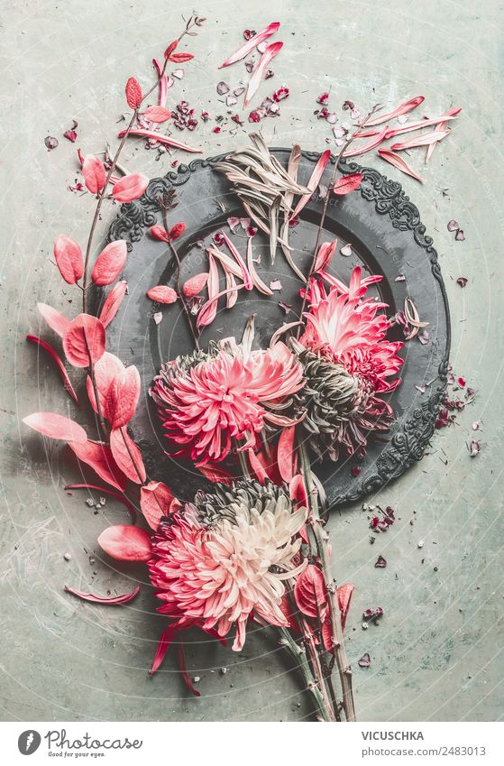Flowers Still Life Composing Style Design Living or residing Decoration Bushes Bouquet Ornament Retro Pink Twigs and branches Chrysanthemum Pastel tone Plate