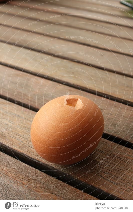 Picked Egg Nutrition Lie Attentive Destruction Eggshell Wooden table Hollow corrupted raw egg Seam Propagation Hen's egg Food photograph Colour photo