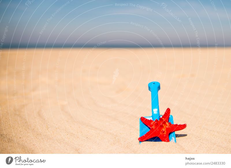 Shovel and starfish on the beach Joy Relaxation Vacation & Travel Summer Beach Child Sand Animal 1 Blue Yellow Red Tourism Children's game play in sand Starfish