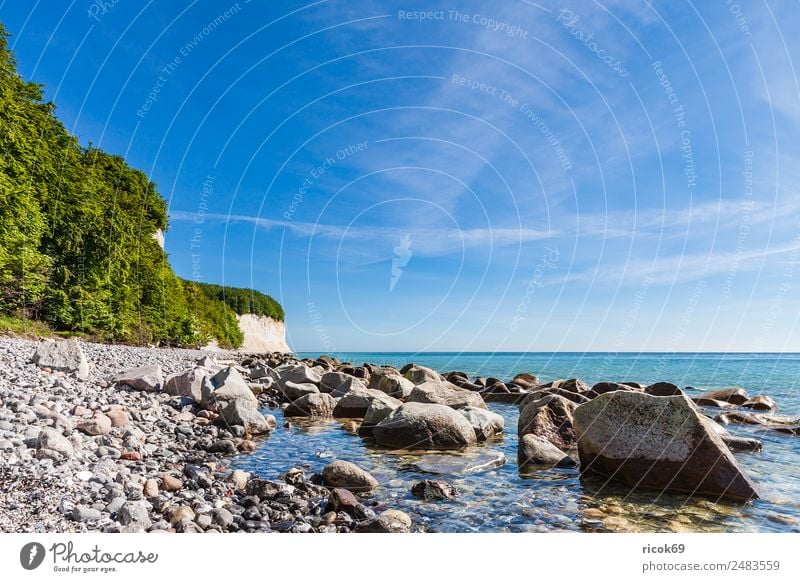 The Baltic Sea coast on the island of Rügen Relaxation Vacation & Travel Tourism Ocean Nature Landscape Clouds Tree Rock Coast Tourist Attraction Stone Blue