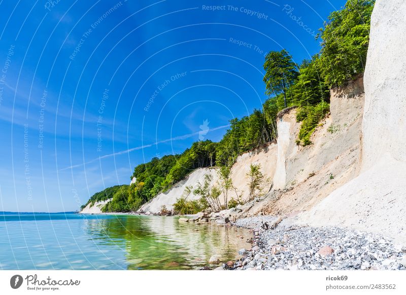 The Baltic Sea coast on the island of Rügen Relaxation Vacation & Travel Tourism Ocean Nature Landscape Clouds Tree Rock Coast Tourist Attraction Stone Blue