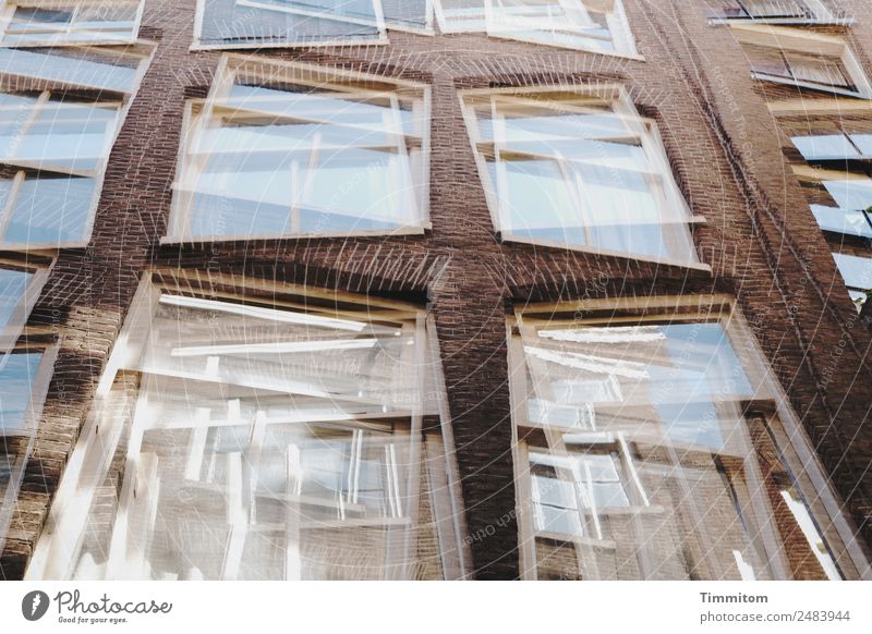 Facades (6) Netherlands Town House (Residential Structure) Wall (barrier) Wall (building) Window Stone Glass Esthetic Blue Brown White Double exposure