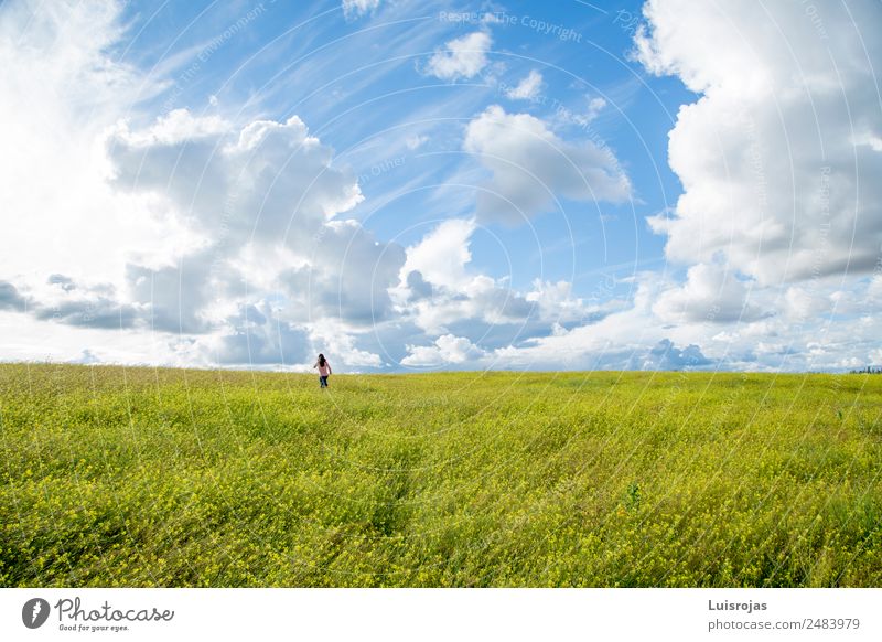 girl walking in a field with yellow flowers sunny day Joy Healthy Life Human being Feminine Girl 1 3 - 8 years Child Infancy 8 - 13 years Environment Nature